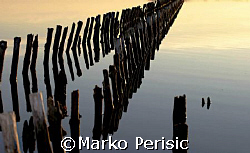 Reflections by Marko Perisic 